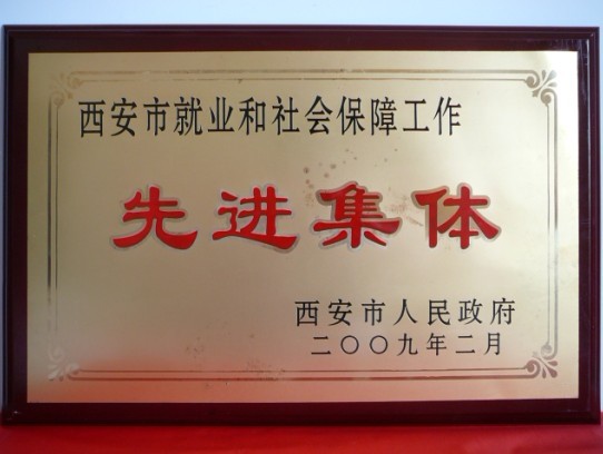 2009年2月，被西安市当驹炖为西安市就业和社会保险工作先进集体