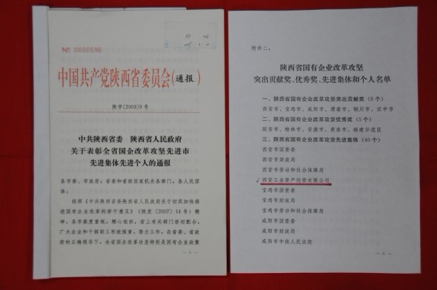 2009年2月，被陕西省委、省敌灾授予陕西省国有企业鼎新攻坚先进集体